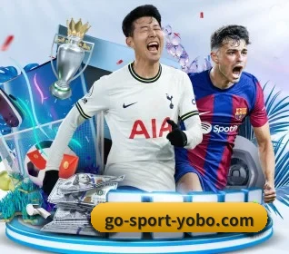 yobo体育 APP