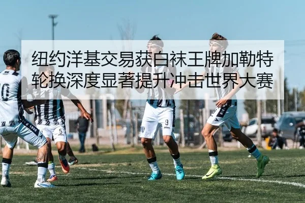 纽约洋基交易获白袜王牌加勒特 轮换深度显著提升冲击世界大赛
